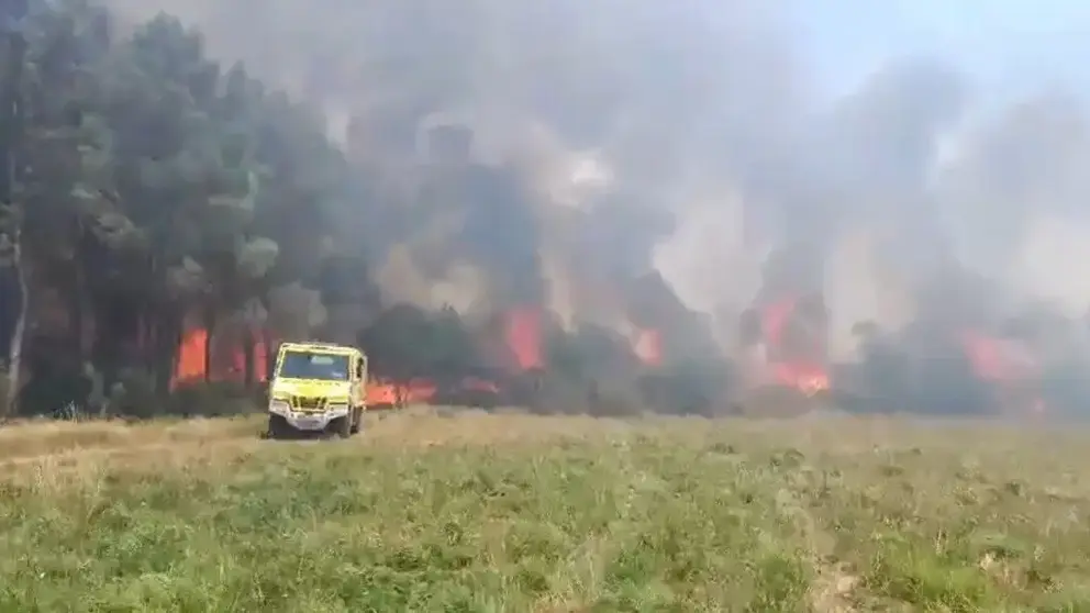 Bombeiros Forestais