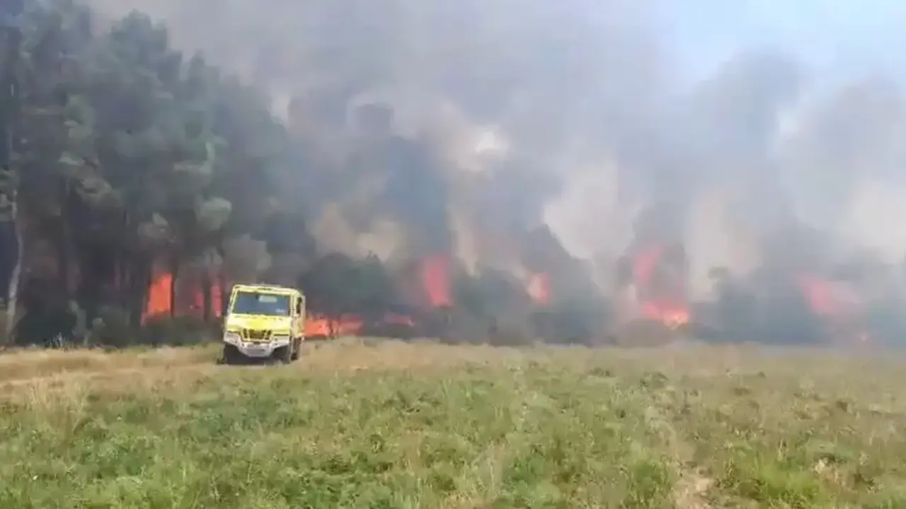 Bombeiros Forestais