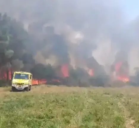 Bombeiros Forestais